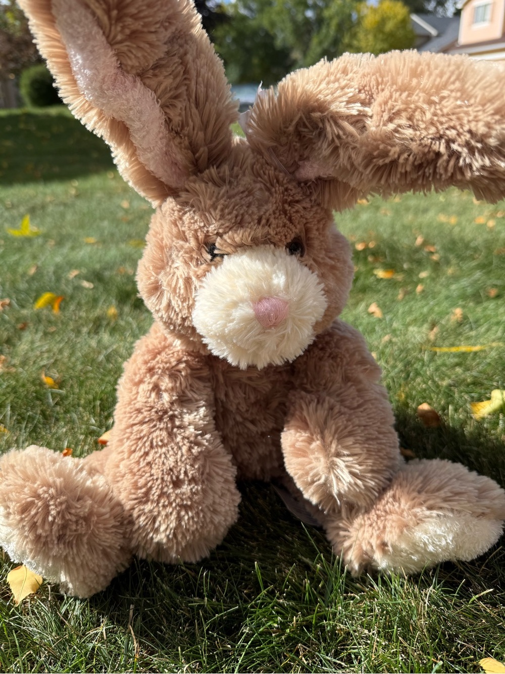 Build a bear bunny